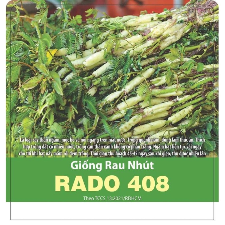 Giống Rau nhút(1g)