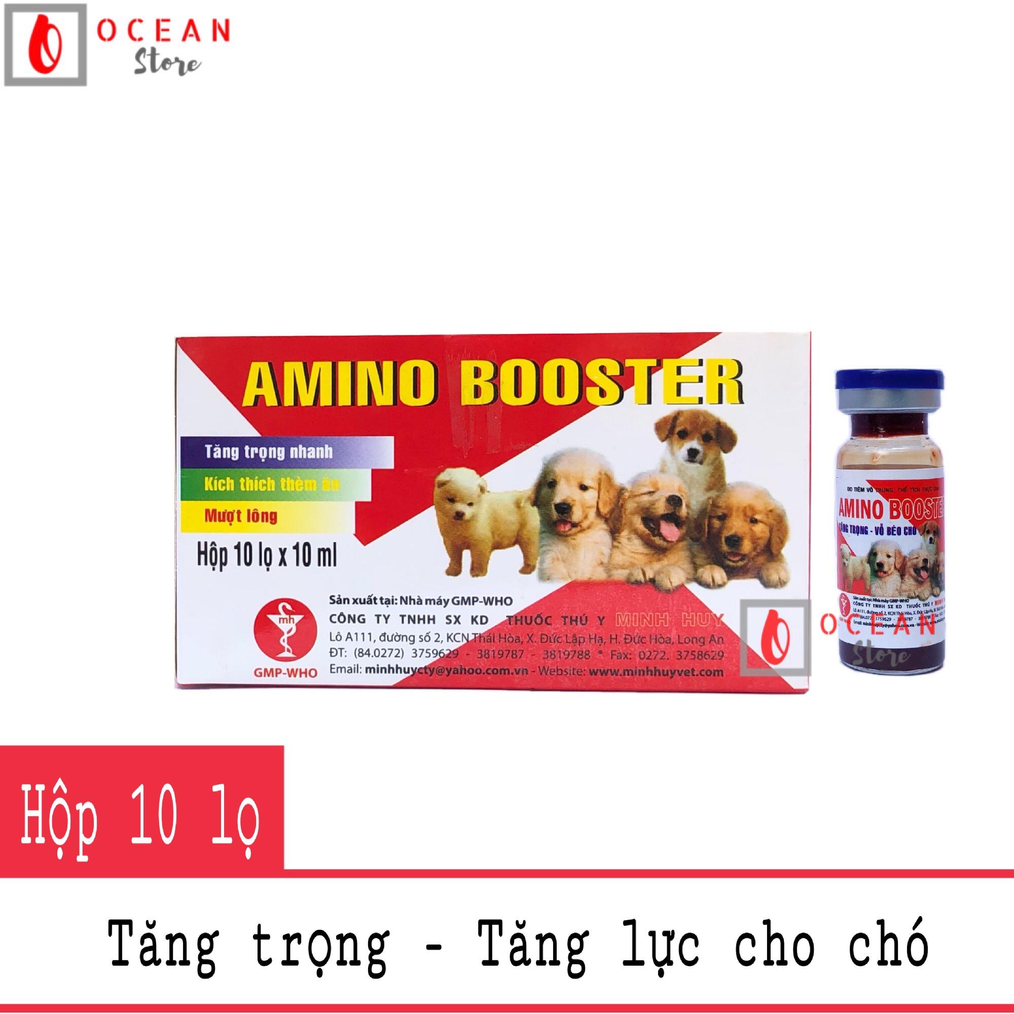 Thuốc tiêm tăng trọng, vỗ béo, tăng tiết sữa cho chó - 1 Hộp thuốc Amino Booster 10ml