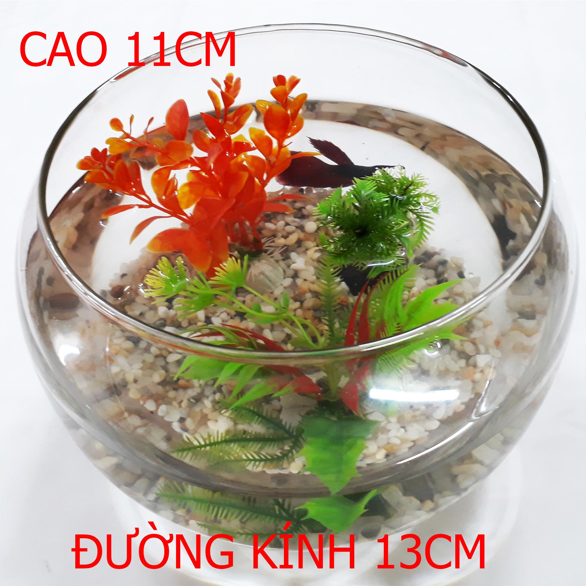 Bể Cá Tròn Nhỏ - Hồ Cá Để Bàn - Chậu Cá Thủy Tinh HT-3 13x13x11