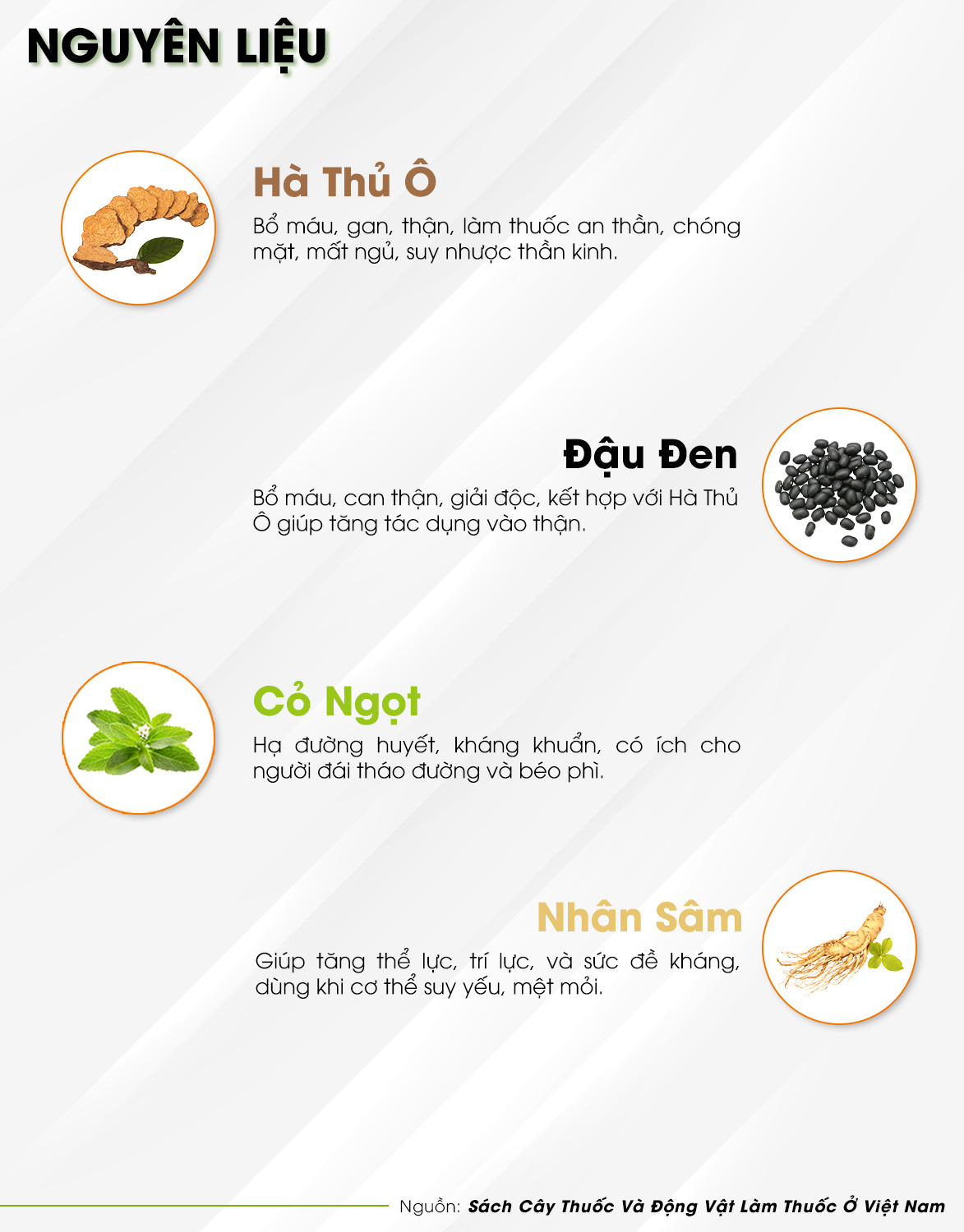 TRÀ HÀ THỦ Ô -  Trà Hùng Phát - dành cho người tóc bạc sớm