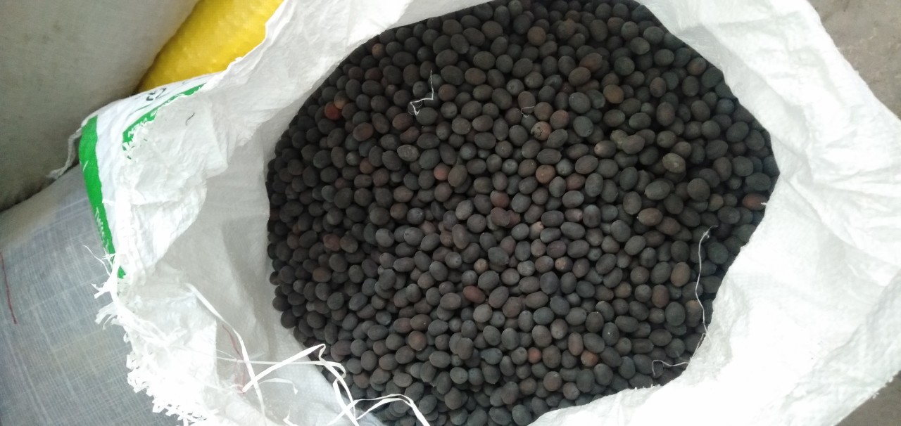 Hạt sen khô đen Đồng Tháp 500g
