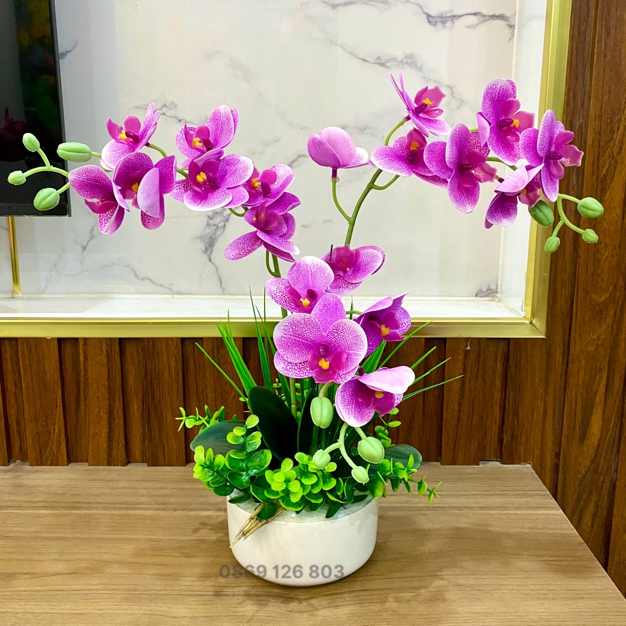 combo 3 chậu lan khách đặt