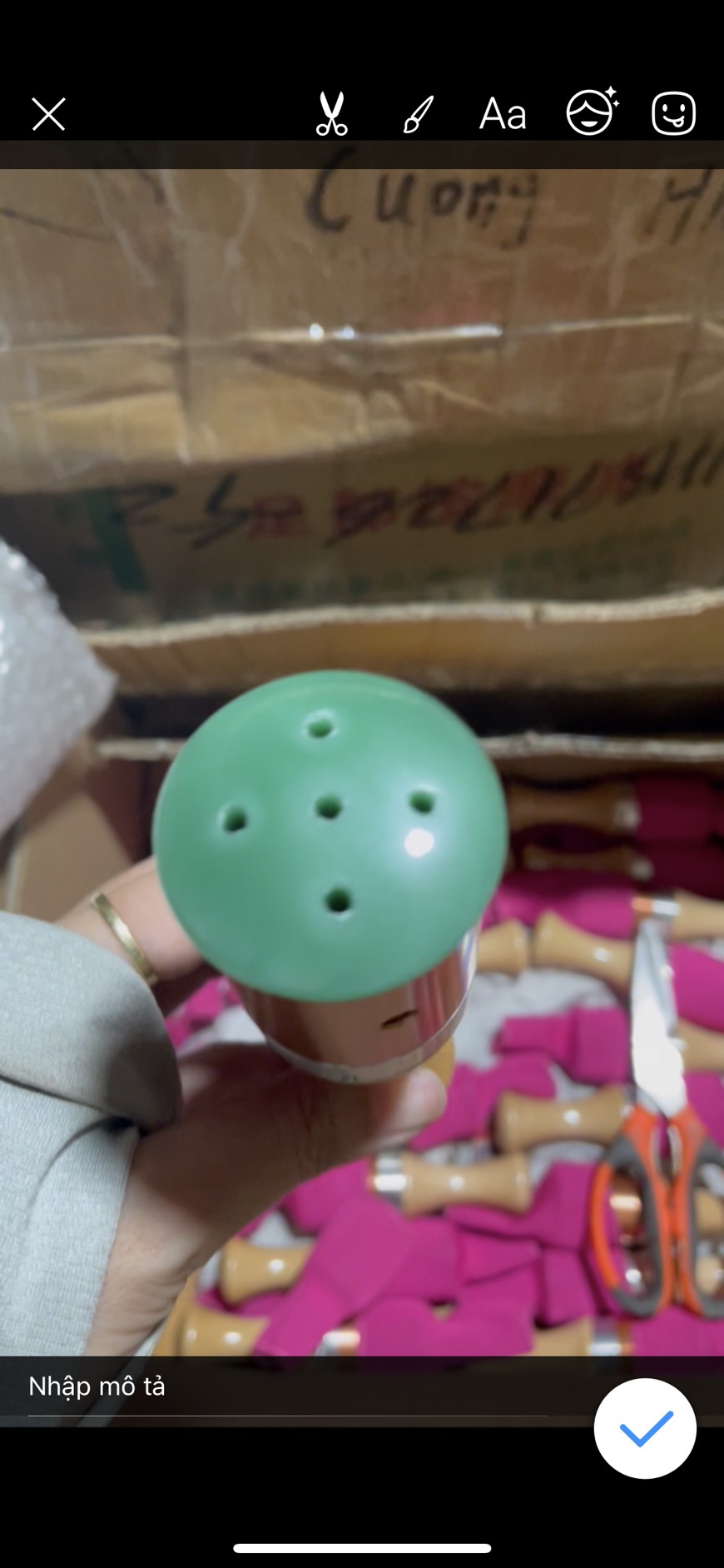 Cây Lăn Ngải Ngọc Bích masage