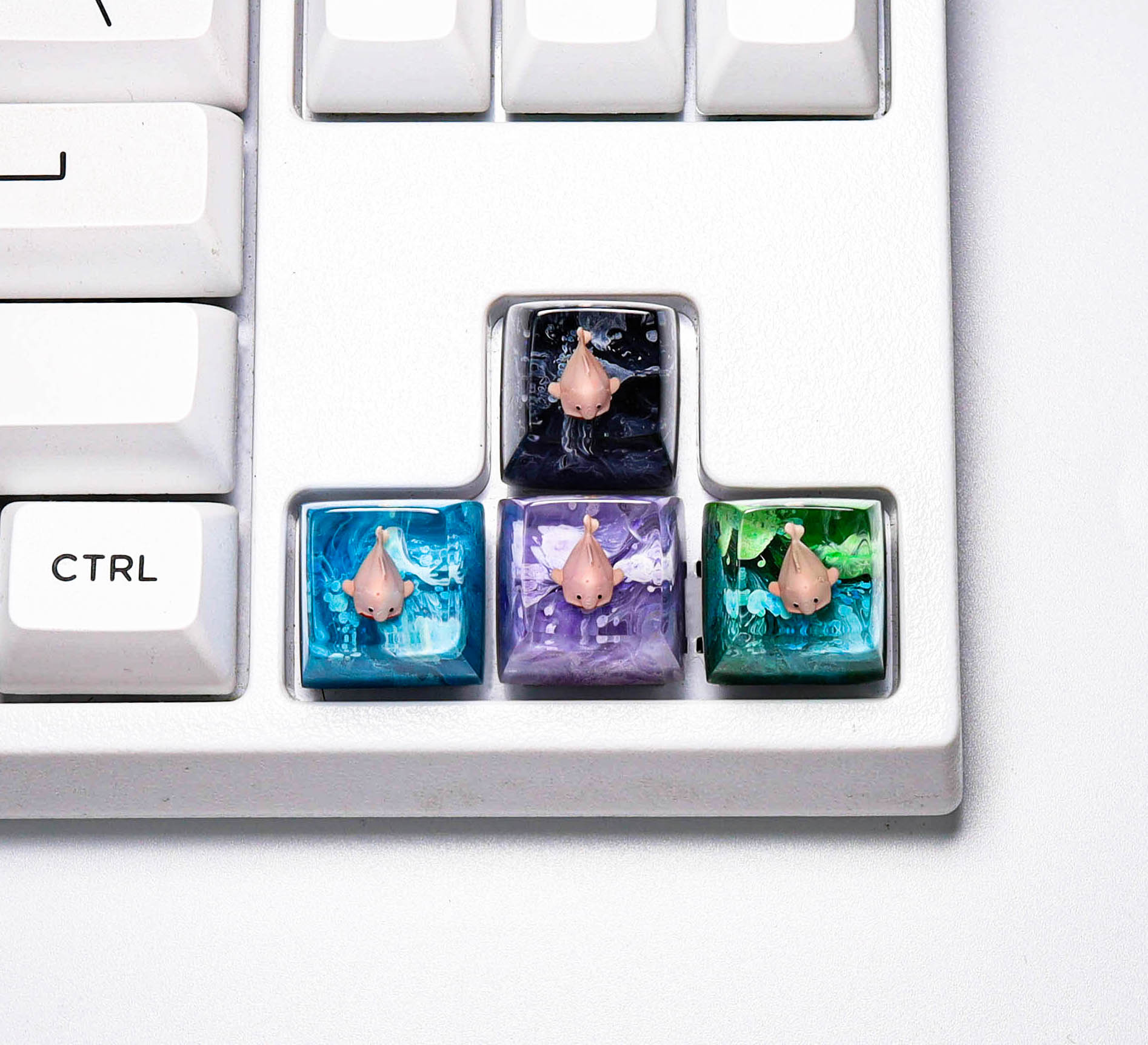 Keycap cá Blob, keycap cá xấu nhất thế giới, keycap lẻ
