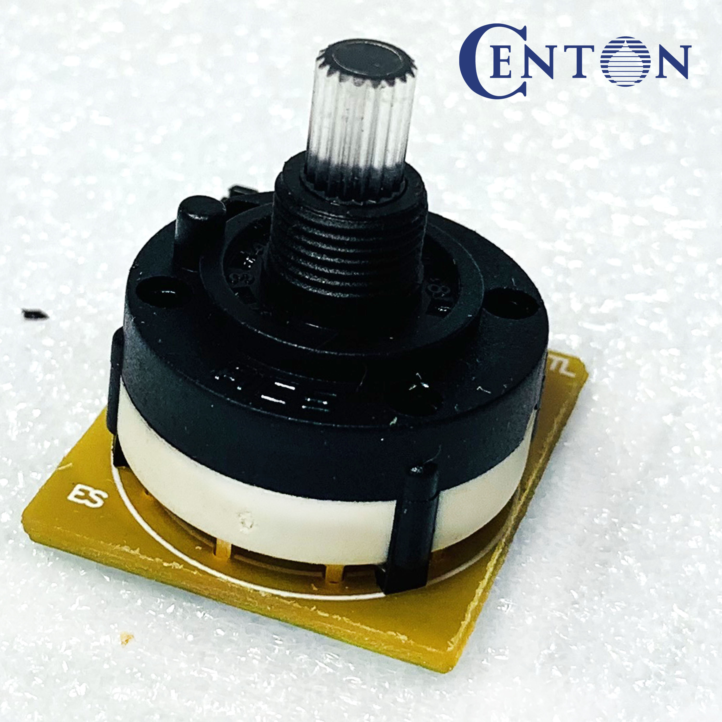 Electronic Selector Rev A c/w wire for Centon Water Heater