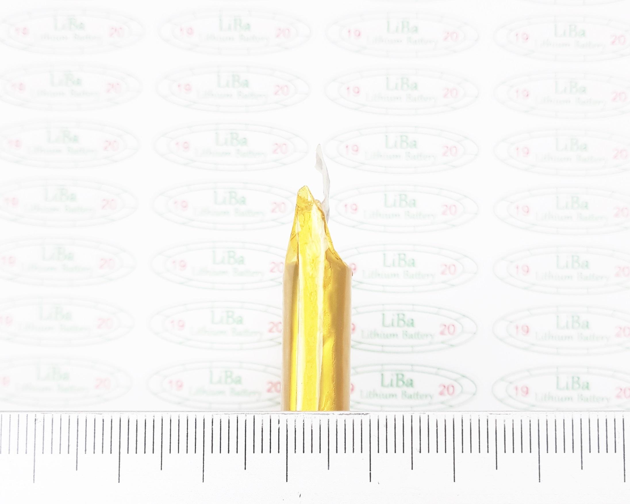 [HCM]Lithium Polyme 3.7V 10000mAh....3000mAh kích thước 60 x 90 mm - LiBa
