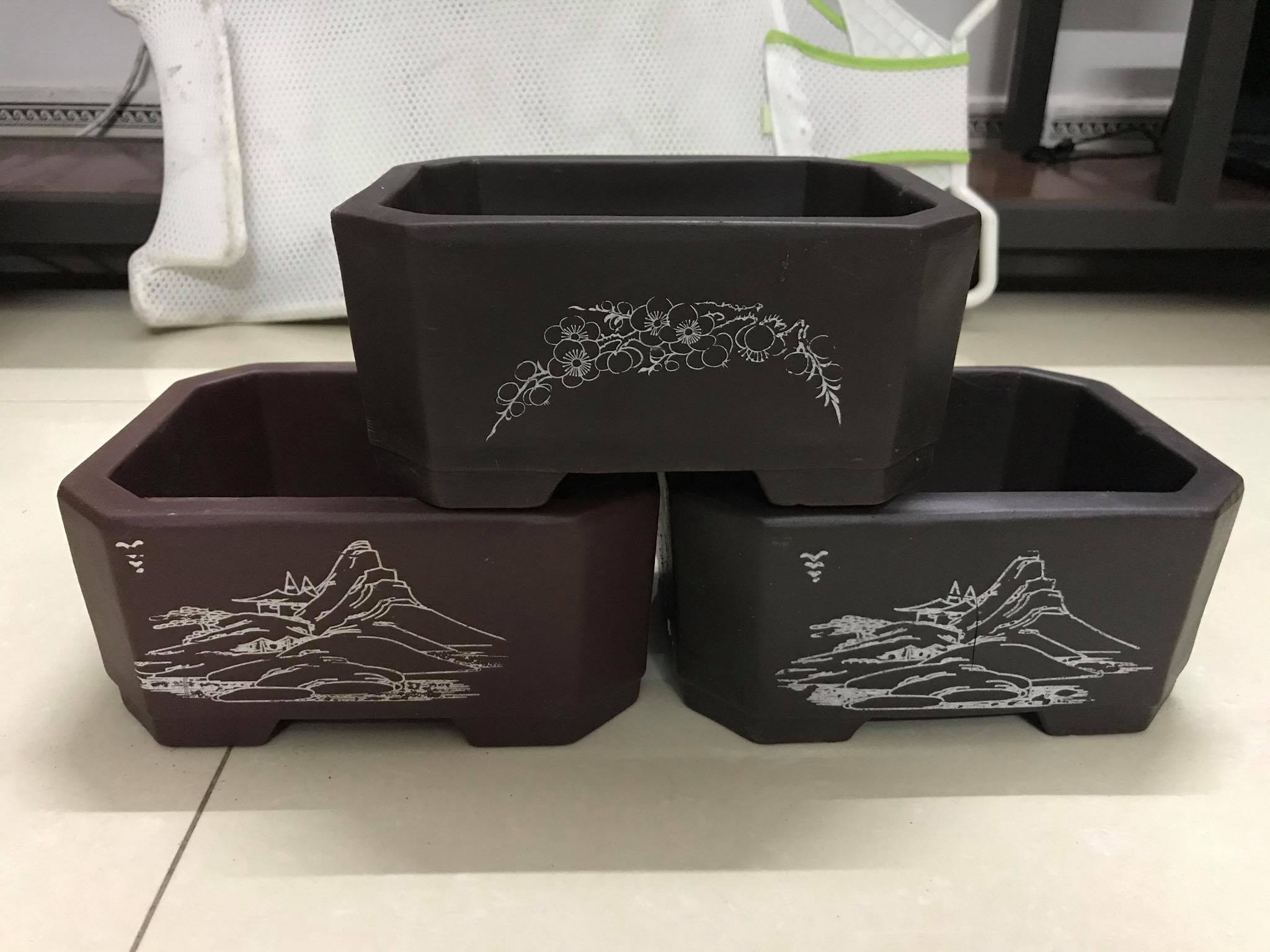 Ang (chậu) chữ nhật mini