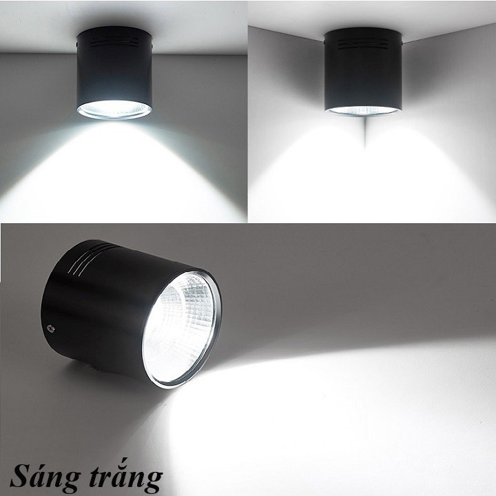 ĐÈN LON ỐP NỔI MẮT COB 12W