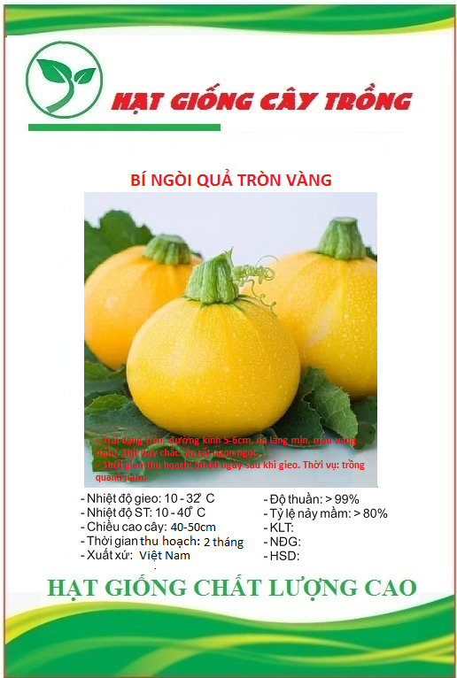 Hạt giống bí ngồi vàng quả tròn f1 - gói 10 hạt