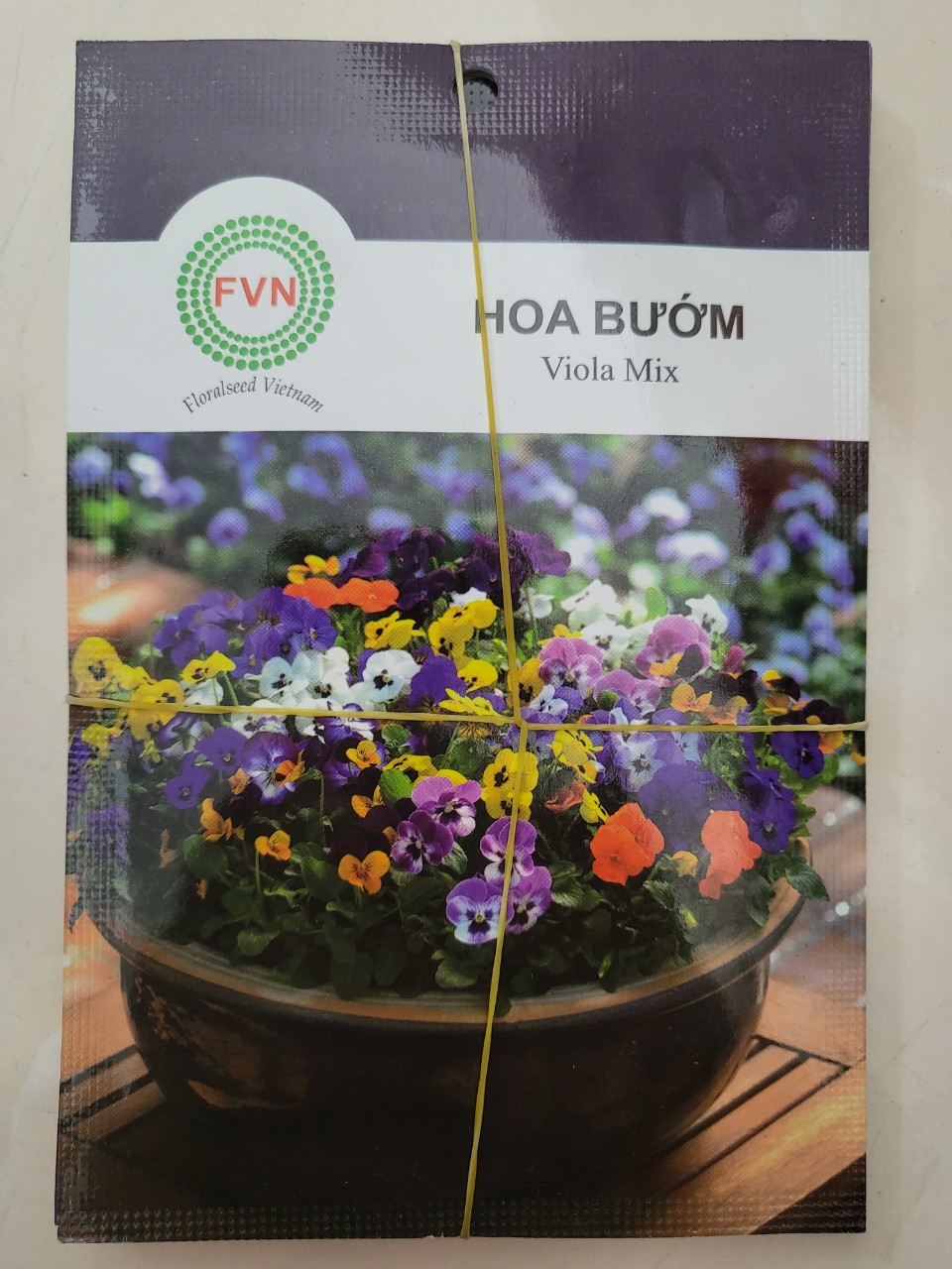 Hạt giống hoa bướm viola mix fvn