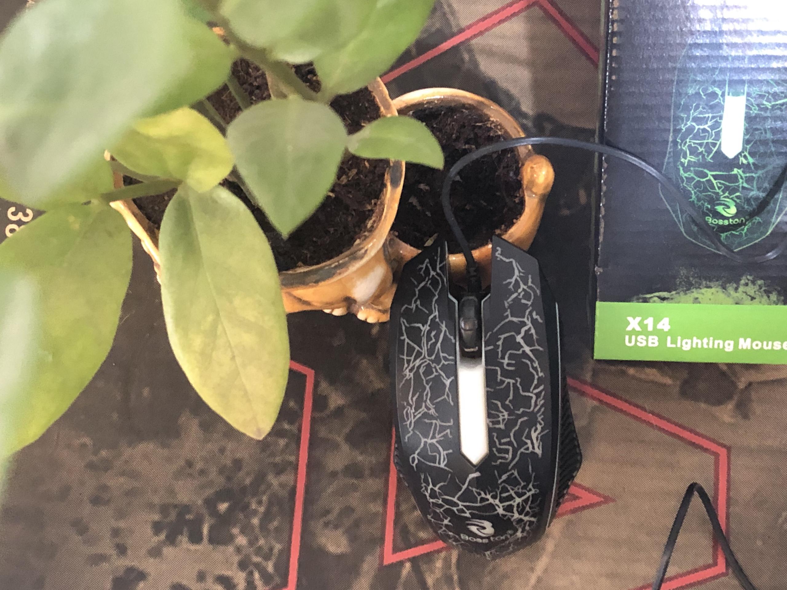 [HCM]Chuột Bosston X14 tự đổi màu LED