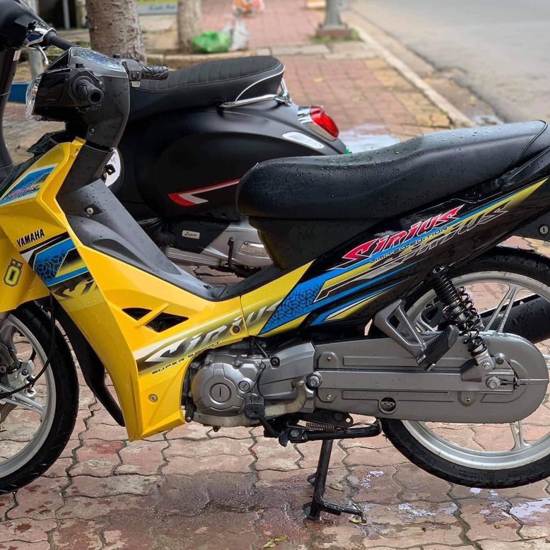 Tem rời Sirius hoa văn dán xe vàng bụng sau đen