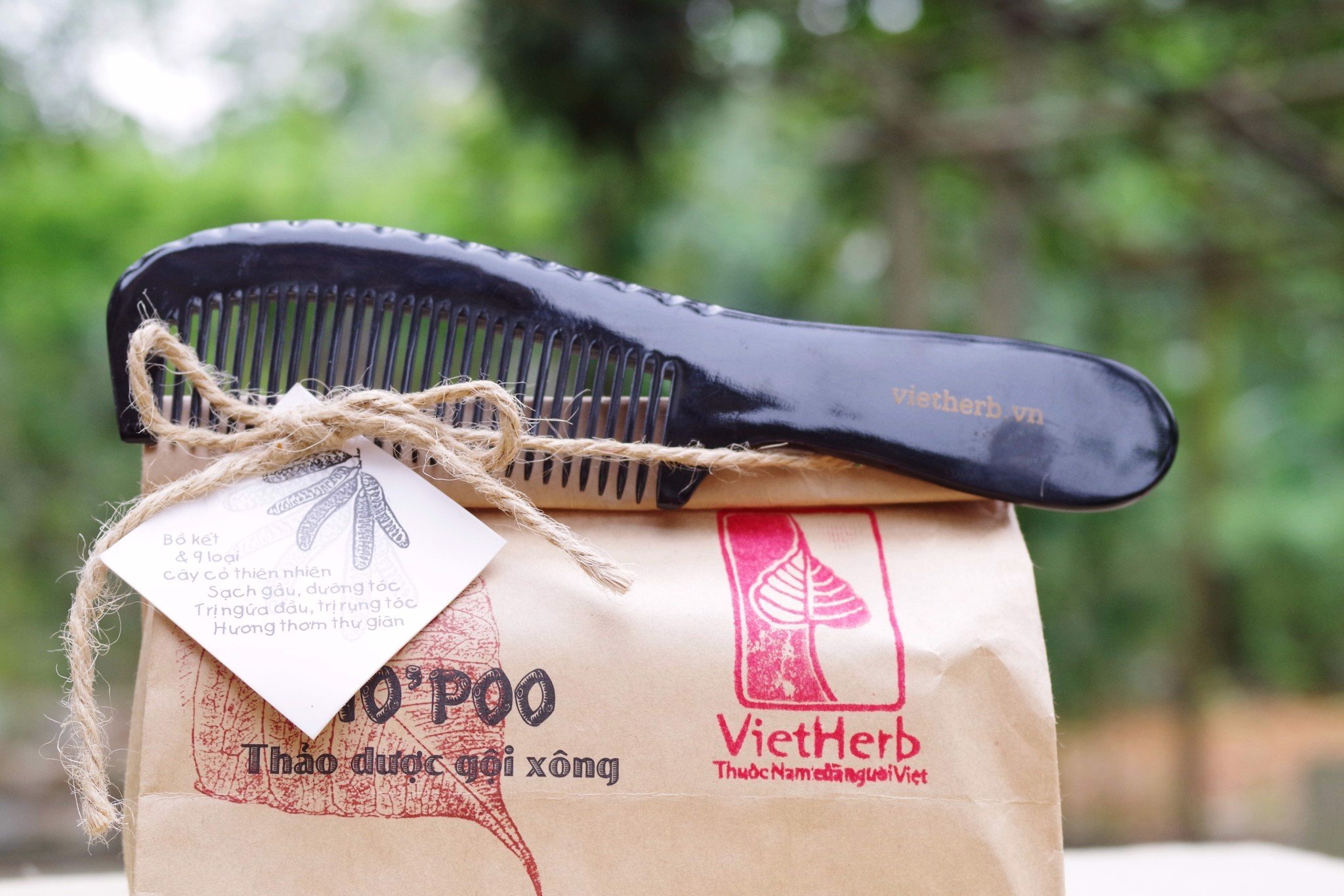 Lược sừng dài - Vietherb