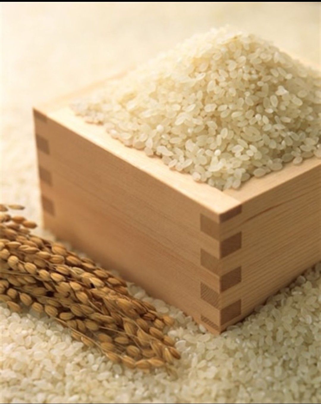 Gạo Japonica túi 2kg