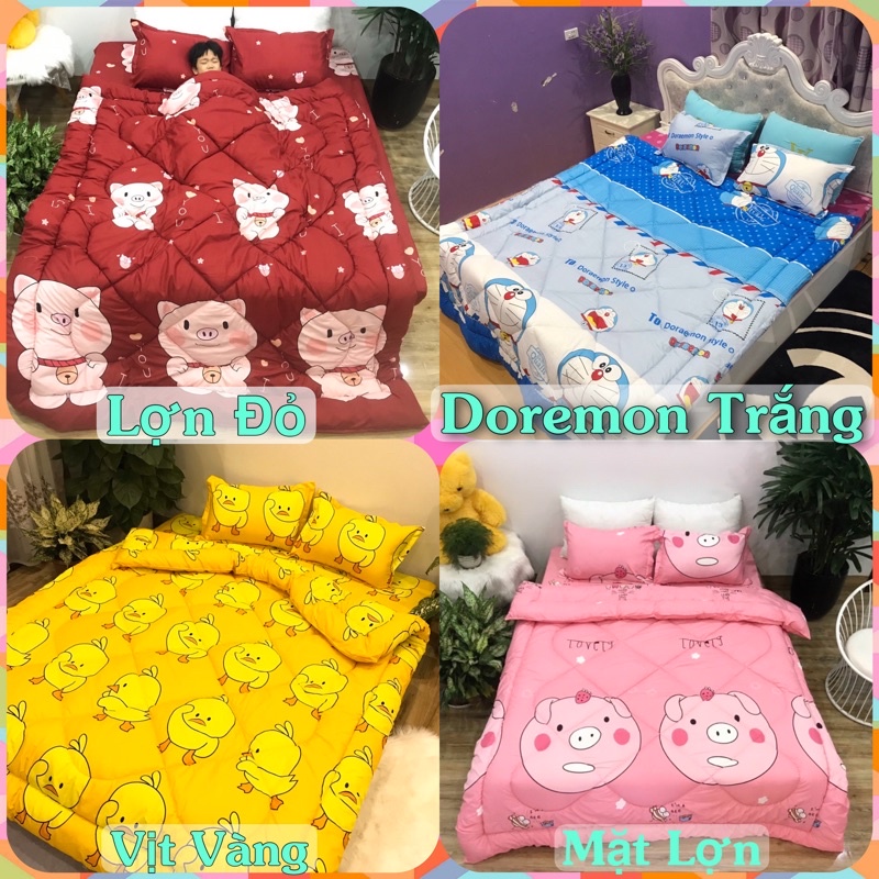Trọn bộ chăn phao ga gối poly cotton ( nhiều mẫu)