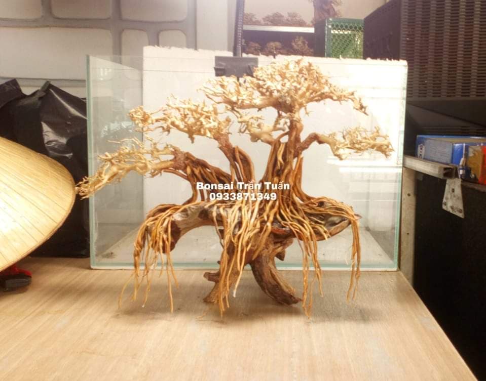 Cây gỗ lũa bonsai [Dùng cho hồ thủy sinh, hàng cao cấp ]