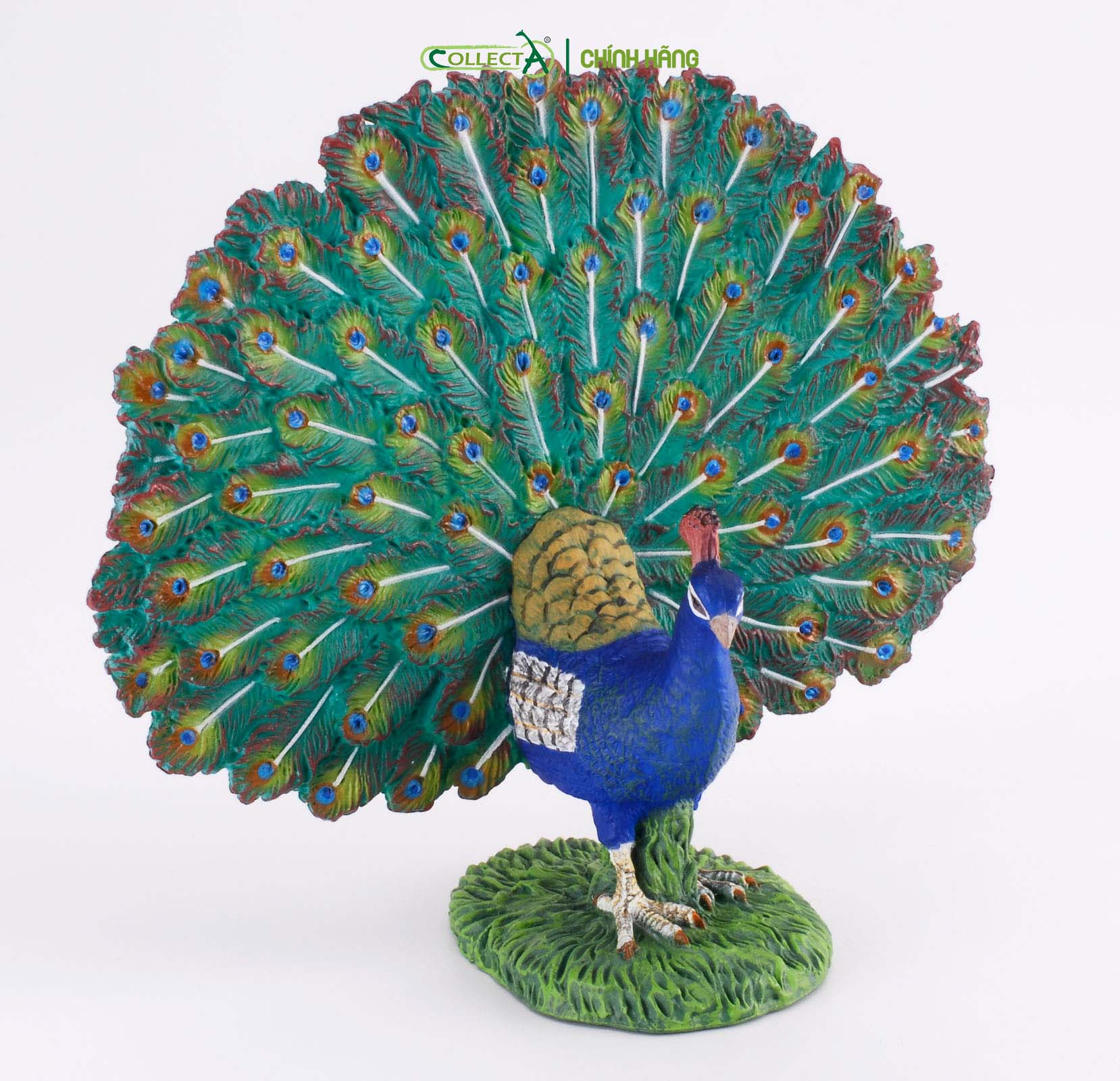 Đồ chơi mô hình động vật CollectA Công - Peacock