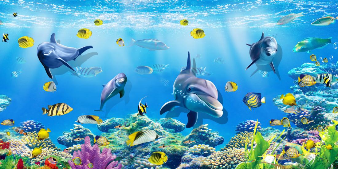 Tranh dán tường trang trí phòng cho bé HD Thế giới đại dương HC0212223 nhiều mẫu