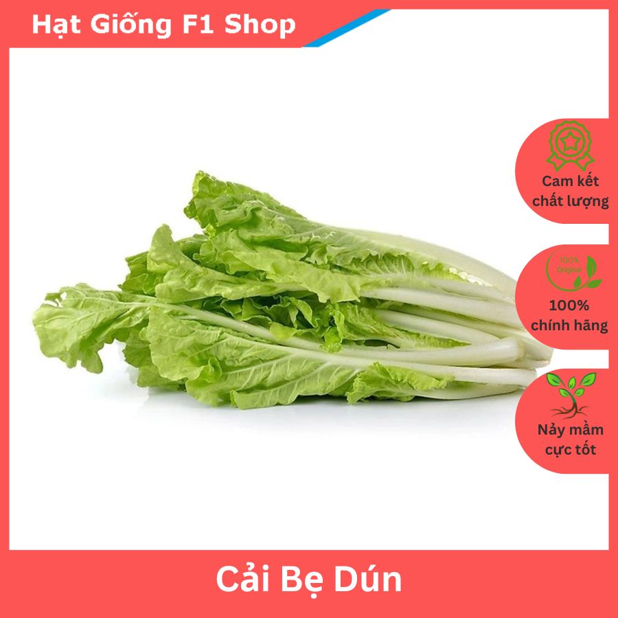 Hạt Giống Cải Bẹ Dún Dễ Trồng 10 Gam