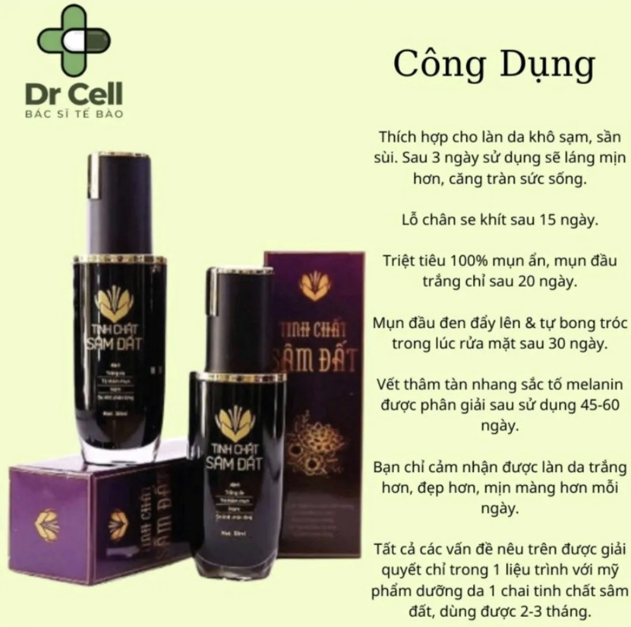 Tinh chất sâm đất tái tạo da triệt tiêu tất cả các loại mụn.