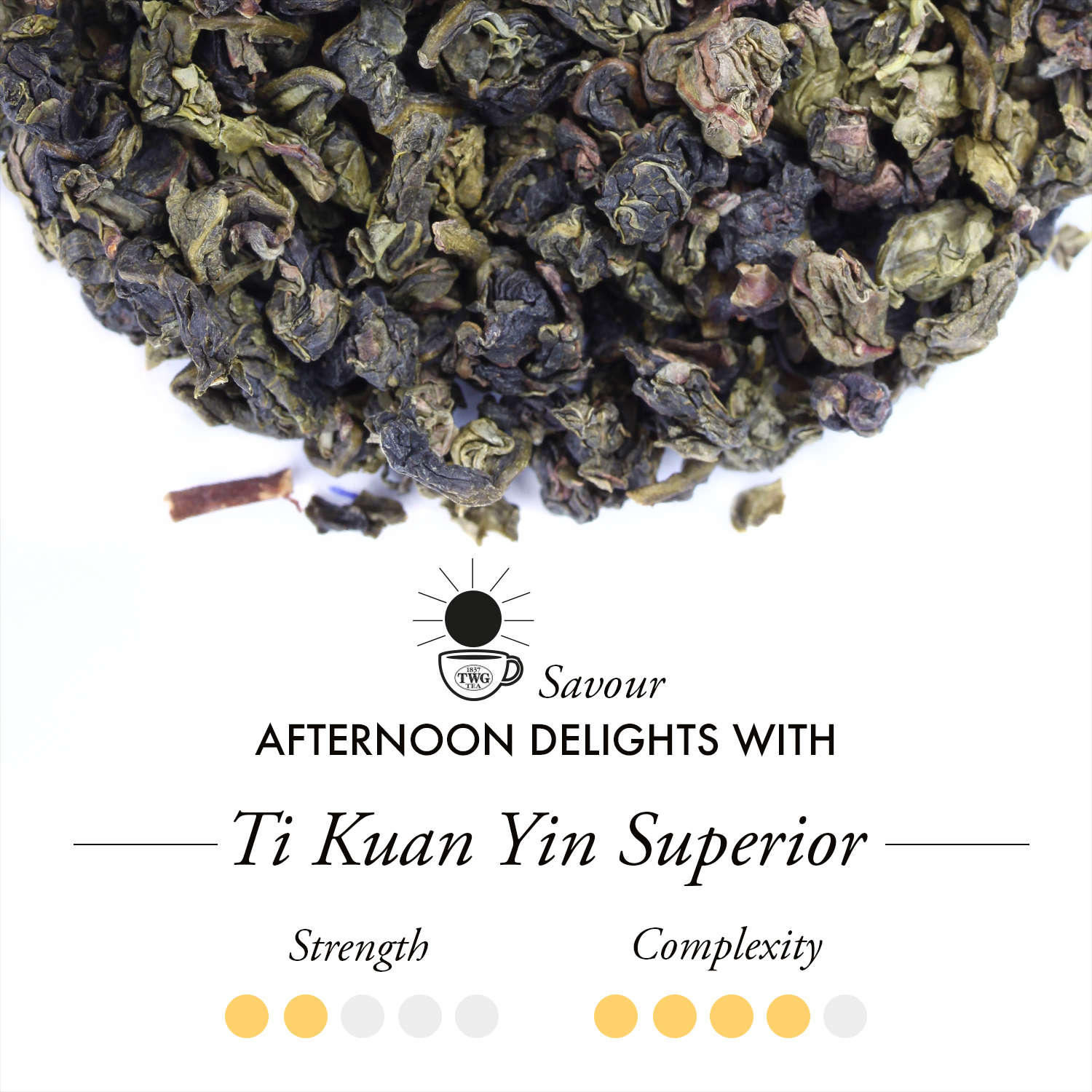 TWG Tea - Ti Kuan Yin Superior Tea (2.5g x 15 teabags) | Oolong Tea
