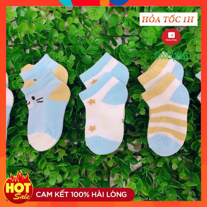 [HCM]SET 5 ĐÔI VỚ COTTON CHO BÉ TỪ SƠ SINH ĐẾN 1 TUỔI