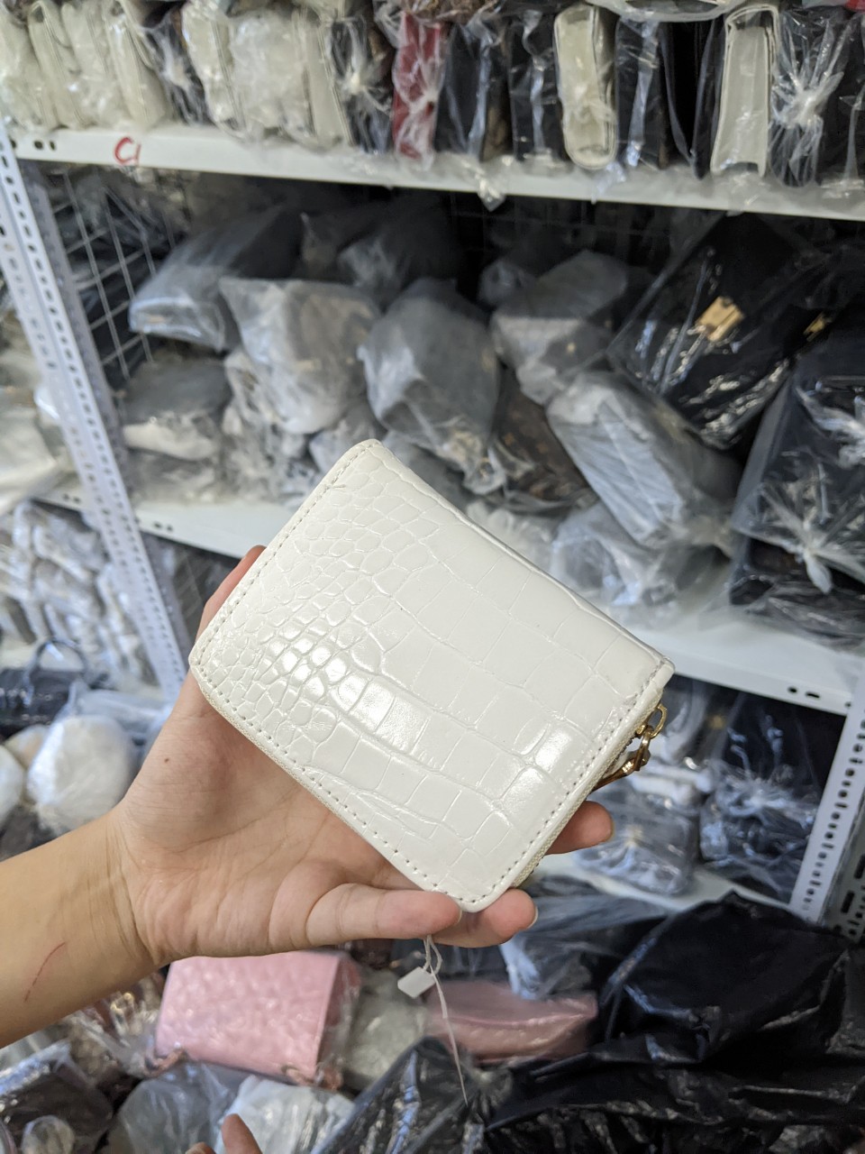 Ví nữ mini CNK vân da rắn khóa kéo size 10-V009
