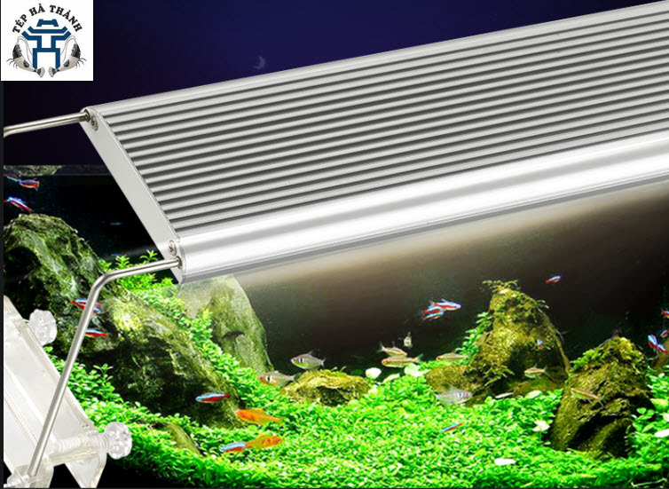 [Hoàn Tiền 10%] Đèn Led ODYSSEA SLIM X Ánh Sáng 10000K (60-80cm) - Đèn Led Cho Bể Cá Cảnh, Bể Thủy Sinh