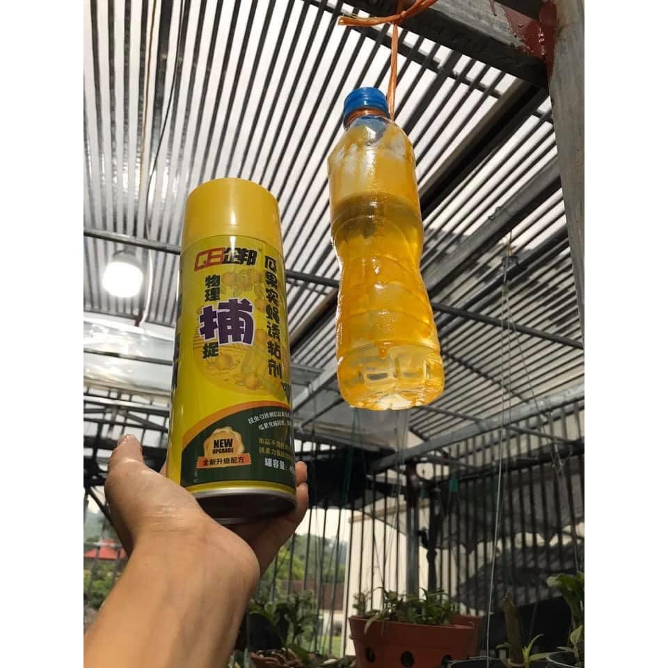 Bình xịt bẫy ruồi vàng côn trùng