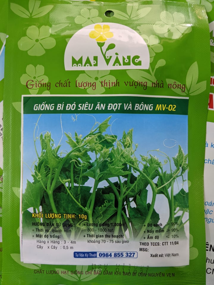 Hạt giống Bí Siêu Ngọn ăn Đọt và Bông 10g