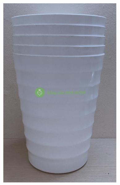 5 Chậu Nhựa Trồng Hoa Cây Cảnh VT 245x167x300 Bình Thuận Plastics