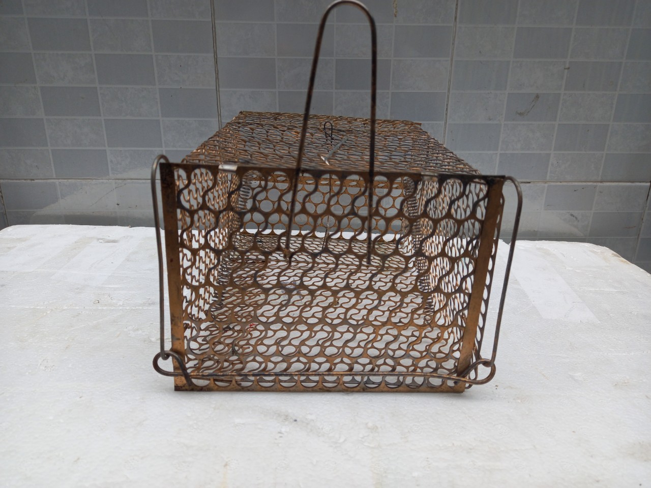 25 cm Mouse Trap Cage with Lock