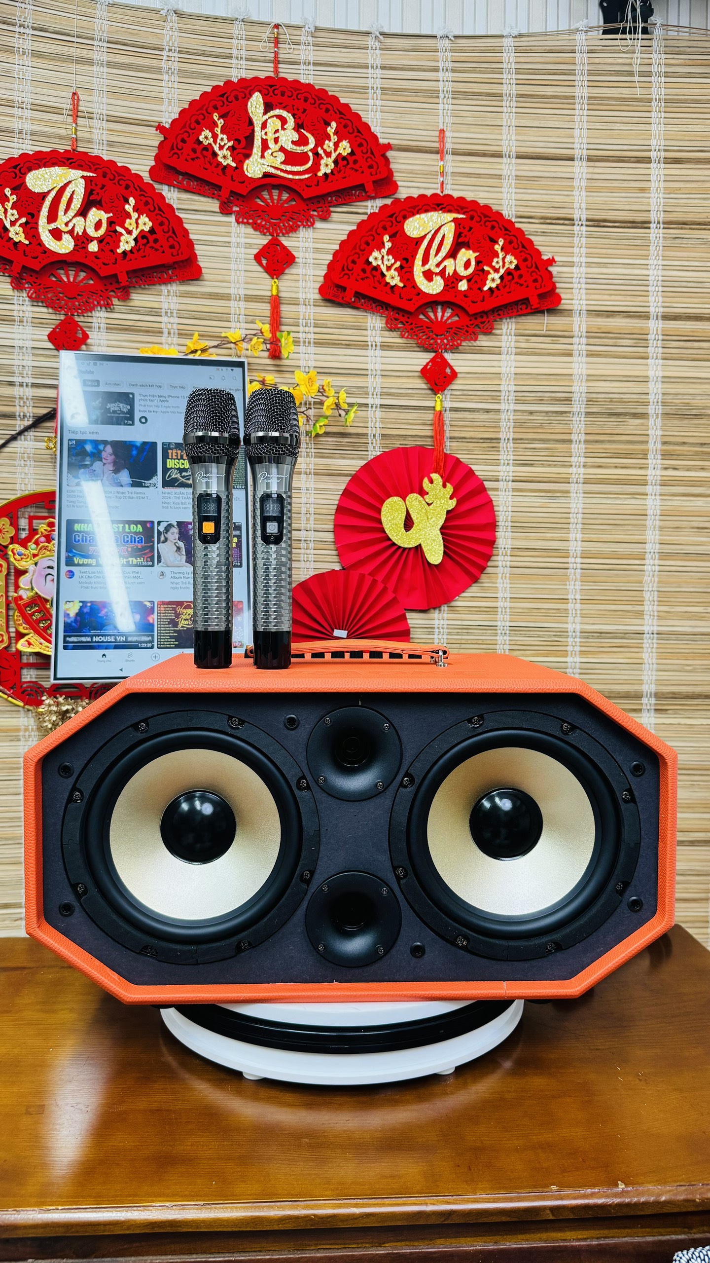 Loa karaoke 10 đường tiếng TNPRO T-628S
