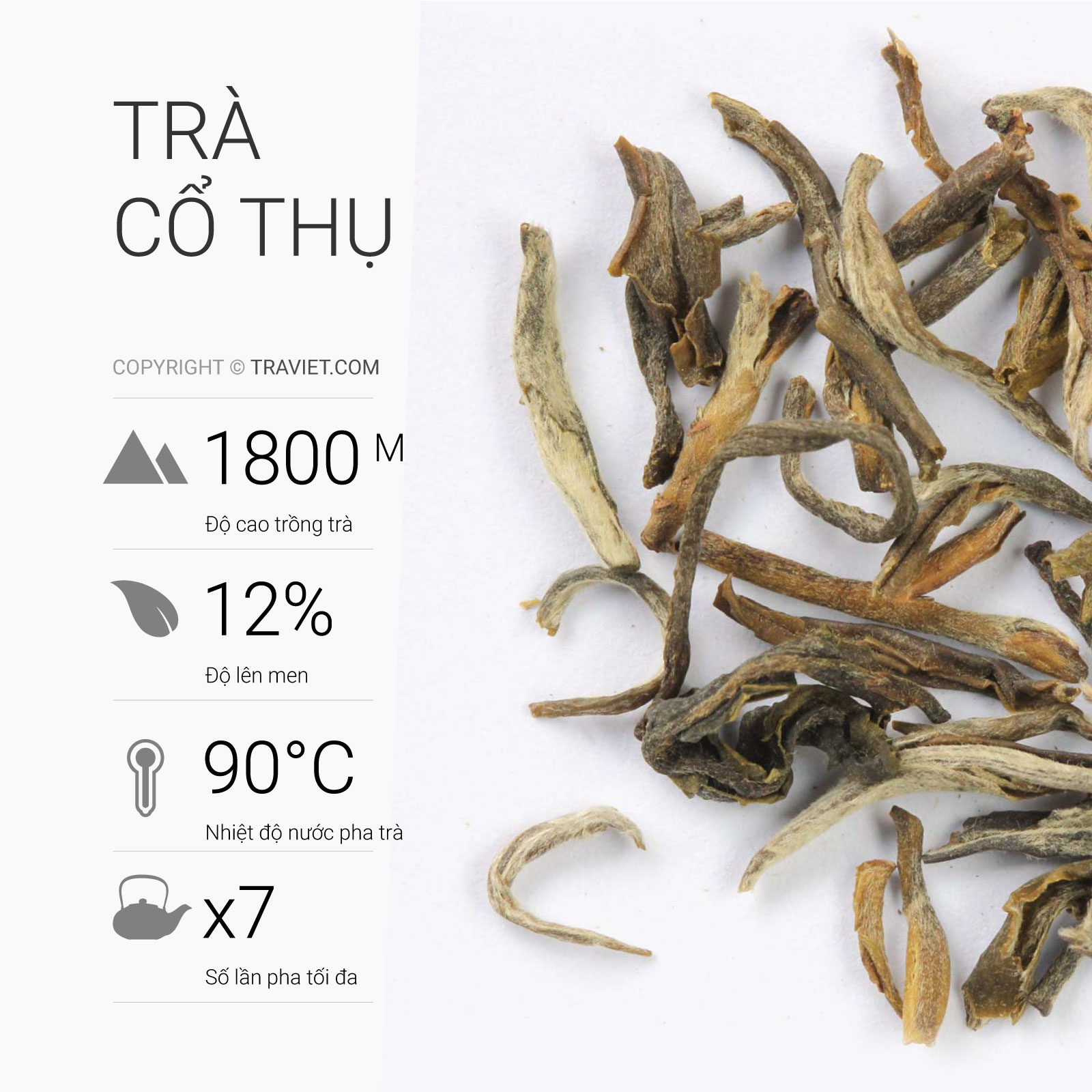 TRÀ VIỆT Hộp Trà Cổ Thụ Cao Cấp 100g