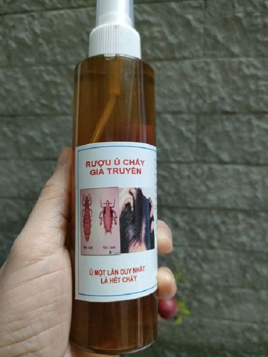 Ủ chấy gia truyền
