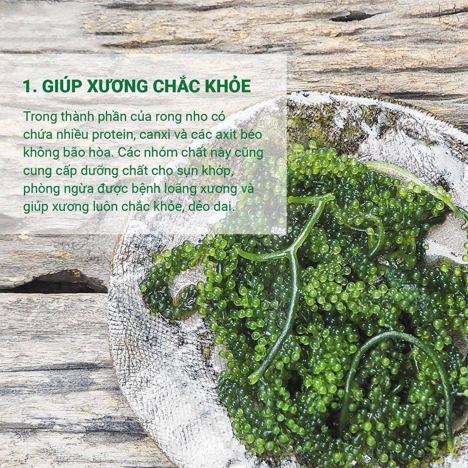 COMBO 2 GOI RONG NHO BIỂN