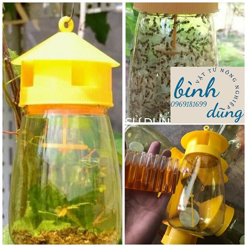 đèn bẩy ruồi vàng thông minh, bẩy ruồi vàng