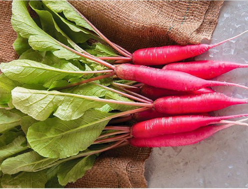 HẠT CỦ CẢI ĐỎ DÀI - GÓI 5 GRAM