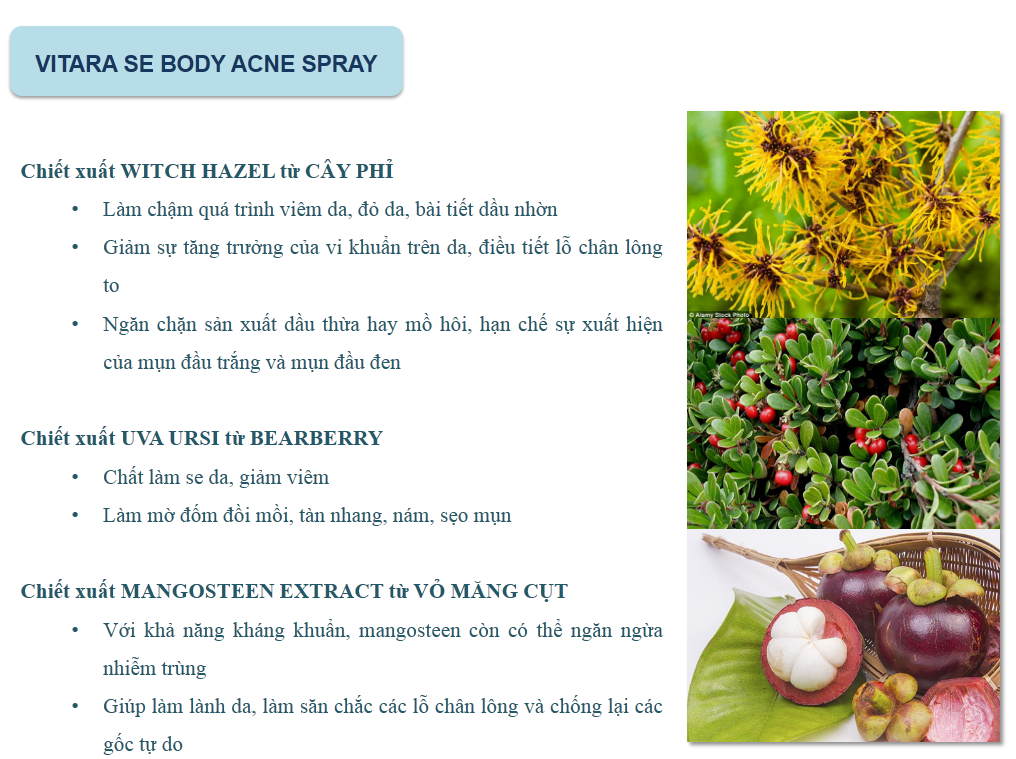 Xịt Mụn Lưng Và Ngực Vitara SE Body Acne Spray 50ml