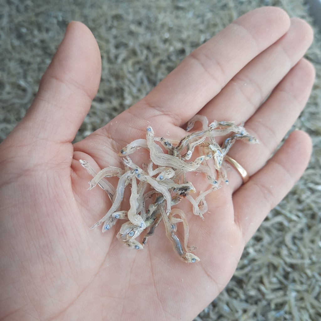 Cá Cơm Mờm Sữa Trắng 1kg - Khô Cá Cơm Đặc Sản Nha Trang