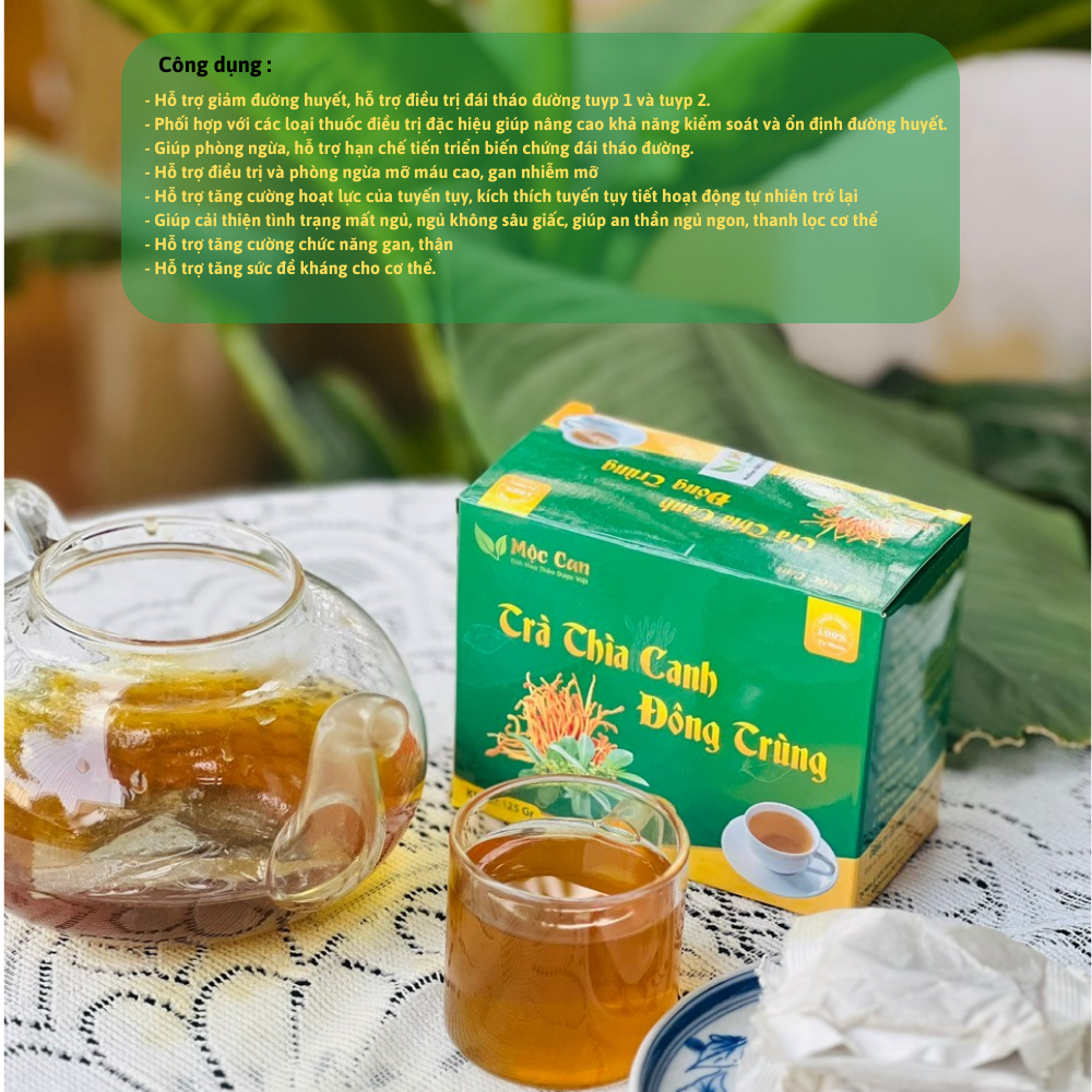 Trà túi lọc dây thìa canh đông trùng