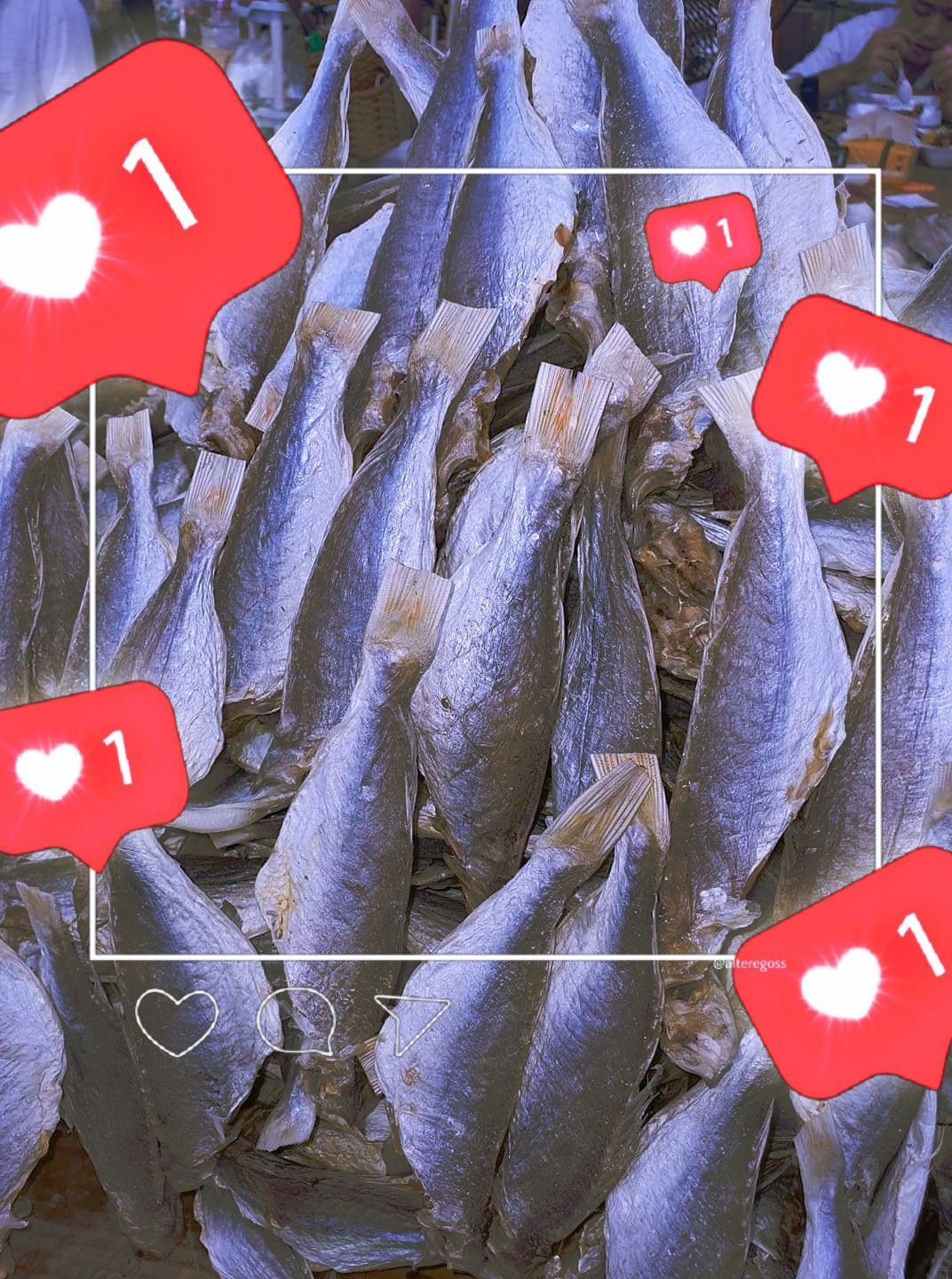 Khô cá đổng - 500gr - NgonLạc(kèm hình thật)