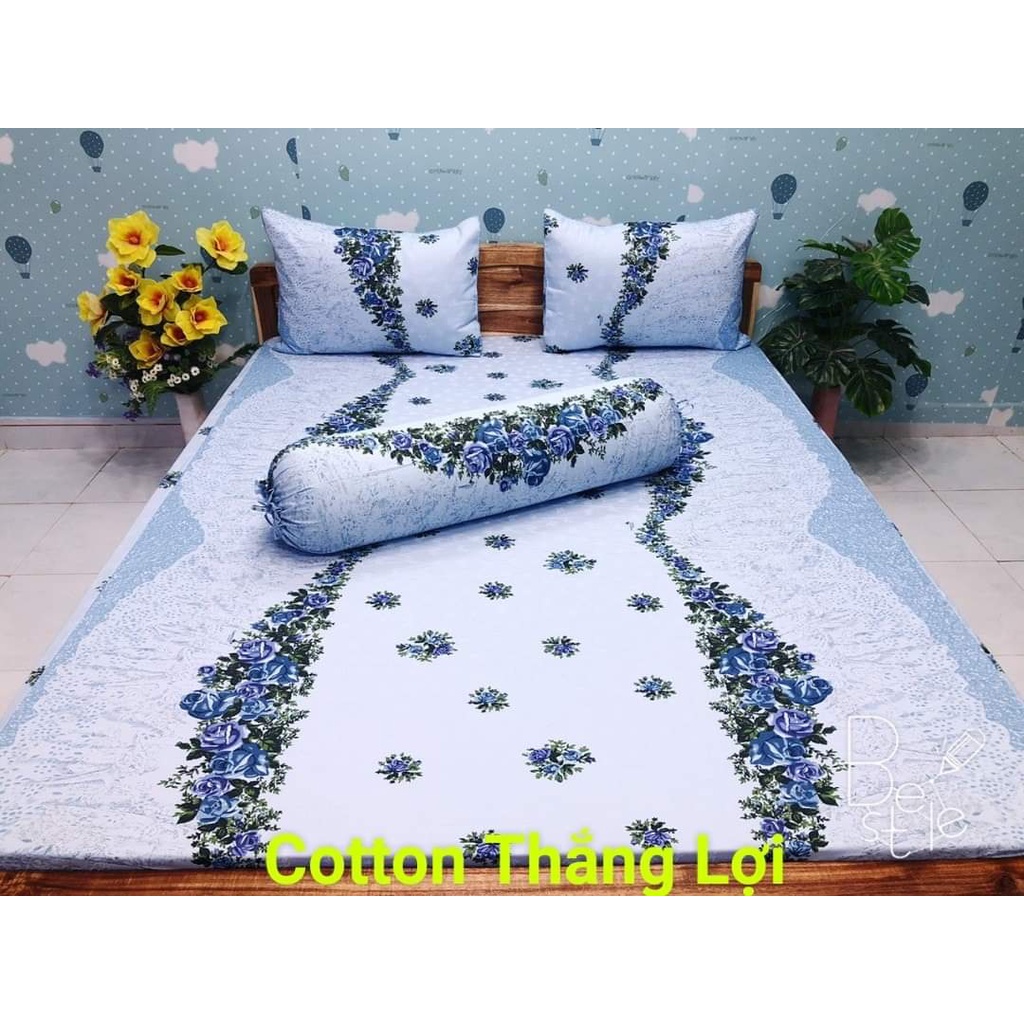 Ga lẻ THẮNG LỢI 1m6/2m NỆM DƯỚI 15CM