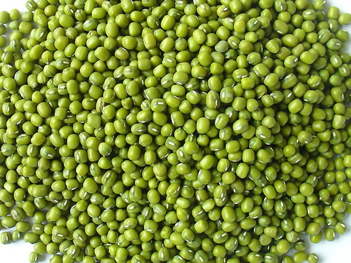 Sỉ toàn quốc 500g hạt  đậu đỗ xanh