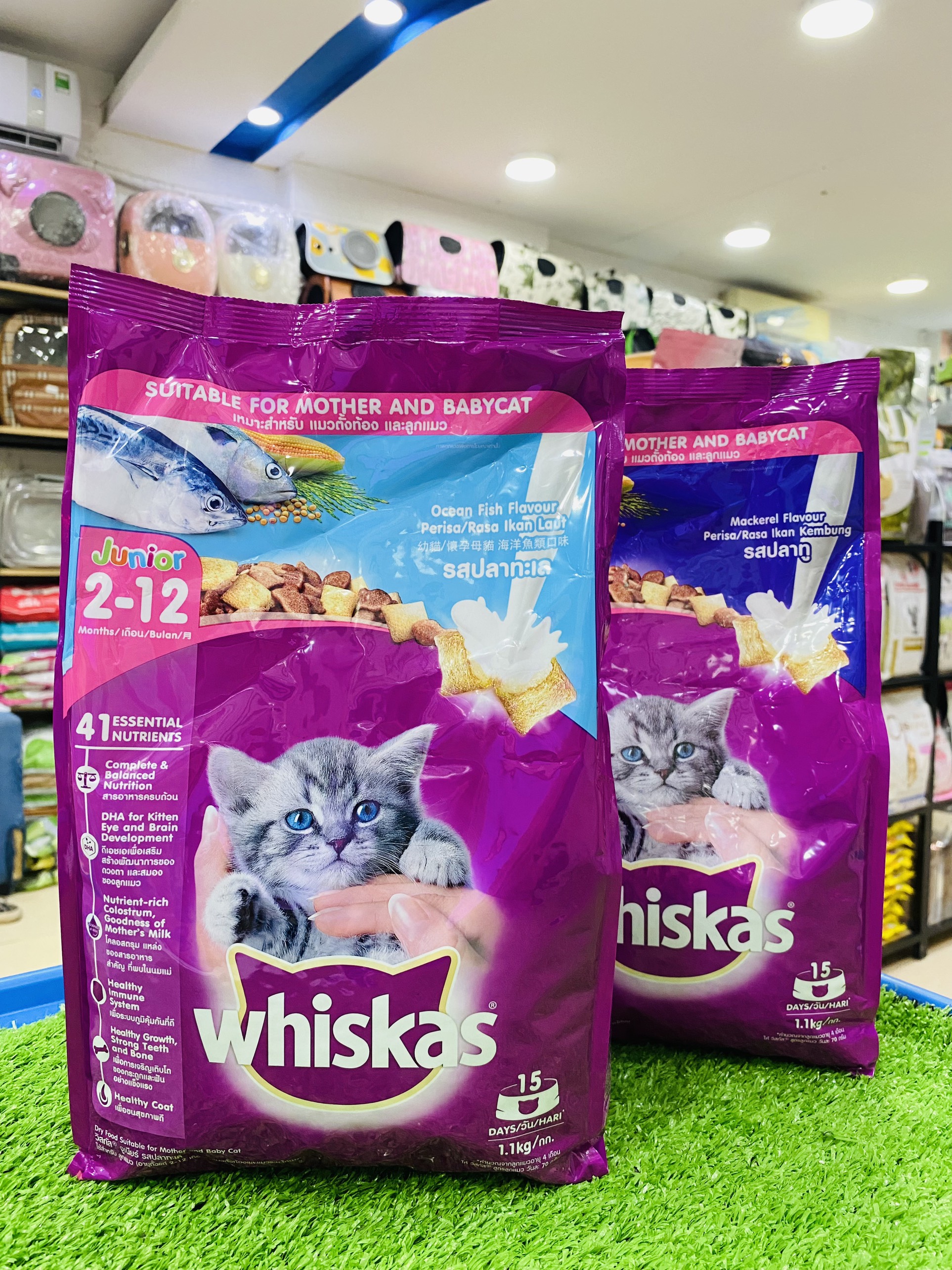 Thức ăn hạt Whiskas Junior cho mèo con dưới 12 tháng tuổi