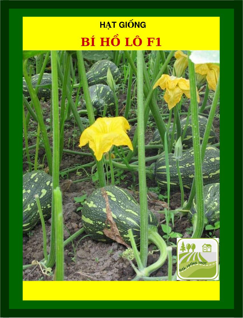 Hạt Giống Bí Hồ Lô - 2Gram