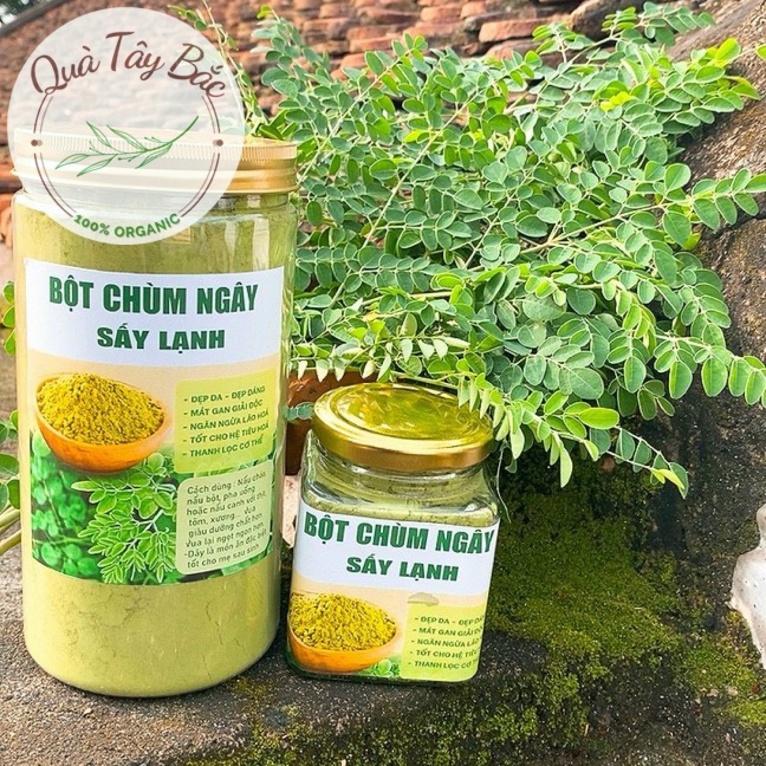 Bột lá chùm ngây nguyên chất sấy lạnh