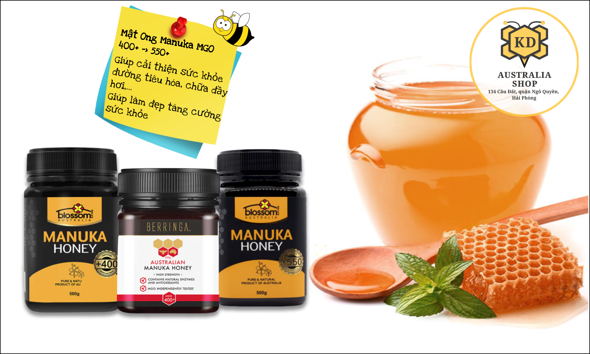 MẬT ONG MANUKA BERRINGA MGO 400+ 250G