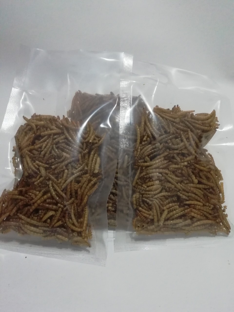 Sâu sấy khô size lớn dành cho nhím, hamster...