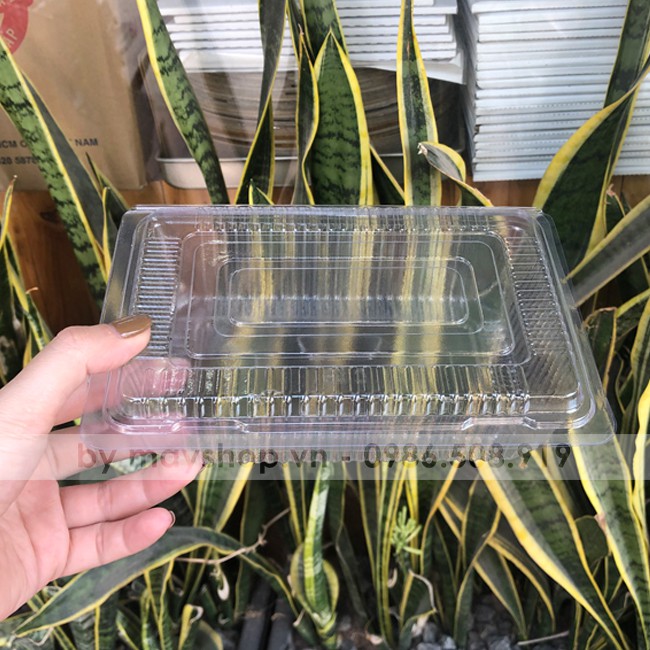 10 hộp nhựa đựng bánh c55